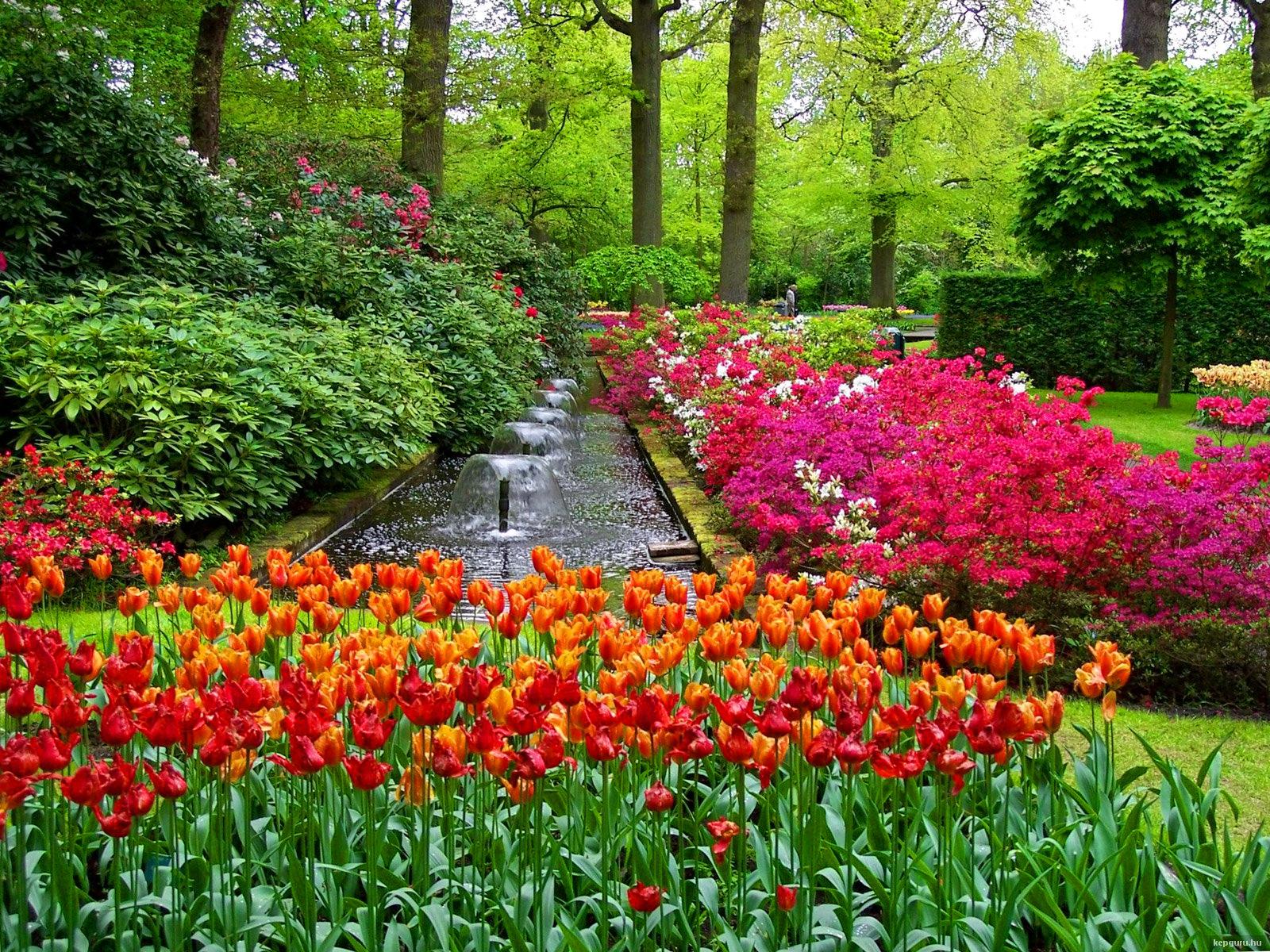 Keukenhof Gardens, Lisse, The Netherlands бесплатно